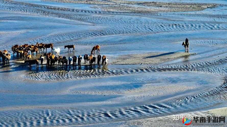 干过的最小的年龄多大：探究背后的深层原因与影响