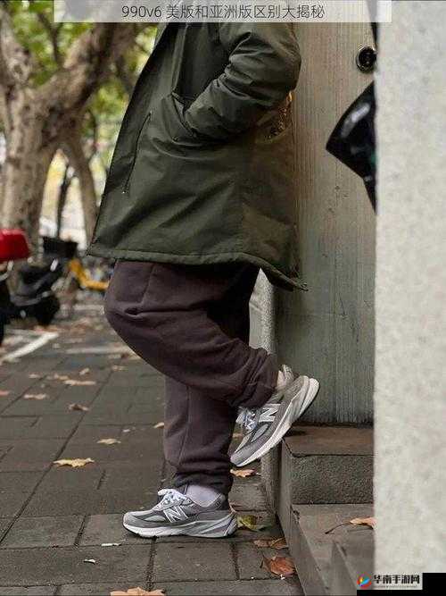 990v6 美版和亚洲版有何区别？深度解析