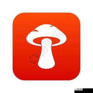 蘑菇视频红色 logo：精彩内容呈现 尽享视觉盛宴