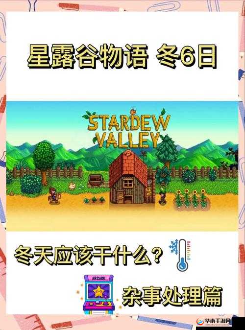 星露谷物语冬天能做哪些事