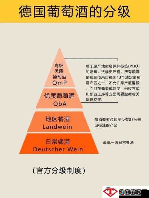 999 精产国品一二三产区的独特魅力与发展前景