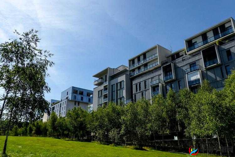 无人公园狂野内存究竟有多大：探索其神秘未知领域