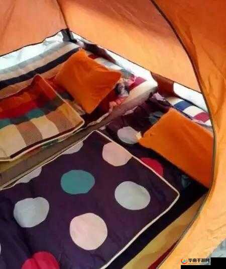 办公室突发撑帐篷事件：背后究竟隐藏着怎样的缘由