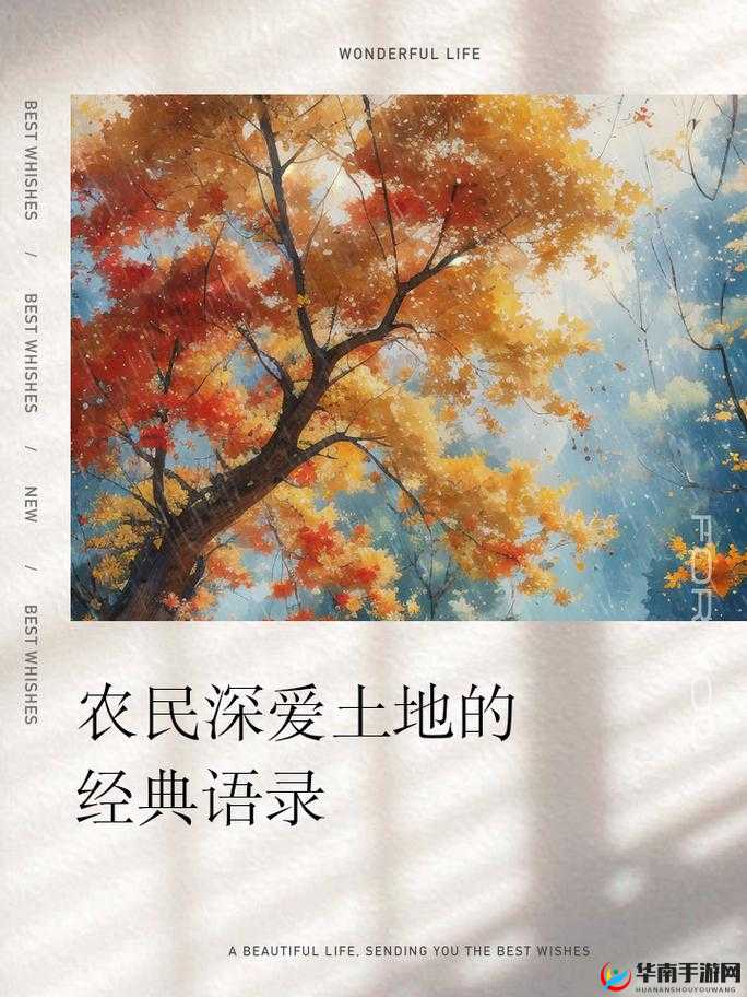 浇灌母亲肥沃的土地：用爱与汗水滋养生命的源泉