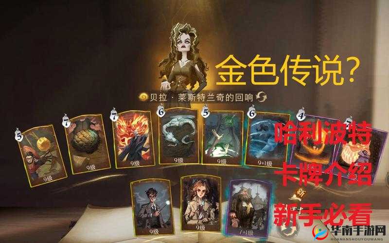 哈利波特魔法觉醒，推荐卡牌大揭秘