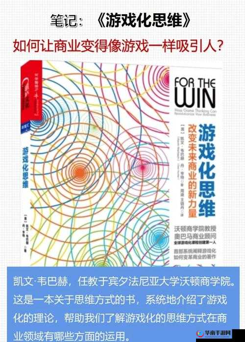 关键词，智慧与创新——在游戏与生活中的双重应用