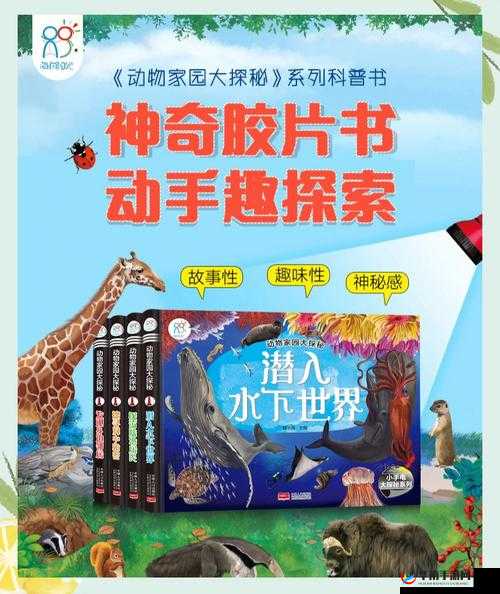 美国 ZOOm 动物:探索神奇动物世界的奥秘与精彩