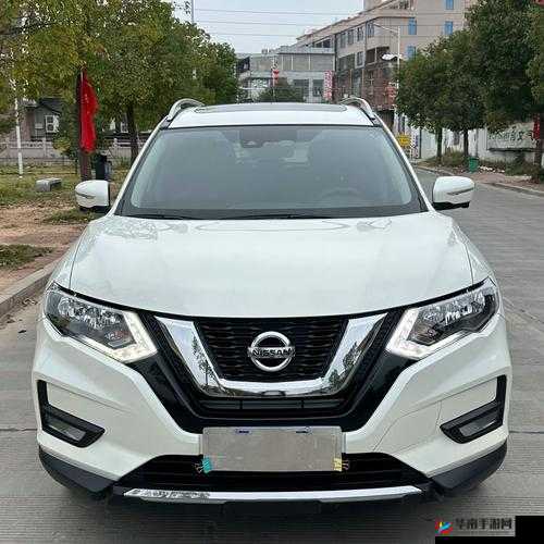 精品日产一匹二匹三匹 2021：探索其独特魅力与价值