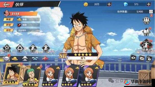 航海王热血航线,新世界路飞实战全攻略