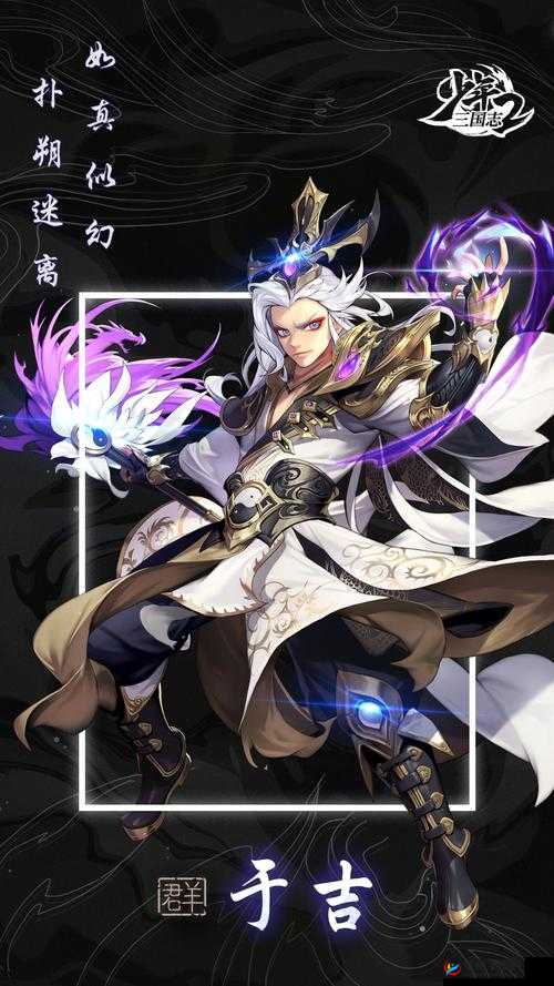 少年三国志2蜀国幼麟姜维替换哪个金将在资源管理中的重要性及策略