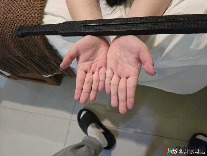 体验次次挨揍 cpo：从新手到高手的成长之路