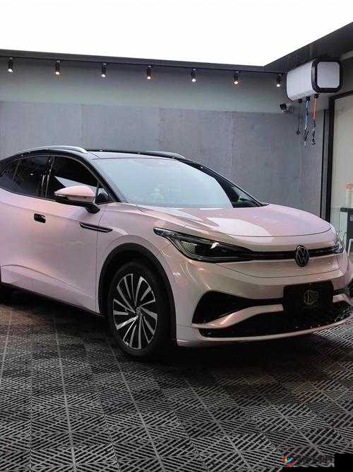 4s4s4s4s 色大众的奢华体验:带你领略前所未有的尊荣之旅