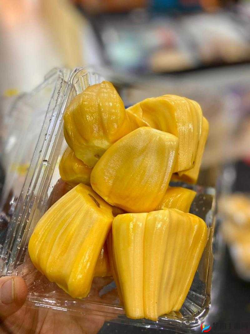 亚精产品一三三三菠萝蜜:美味水果带来的独特体验