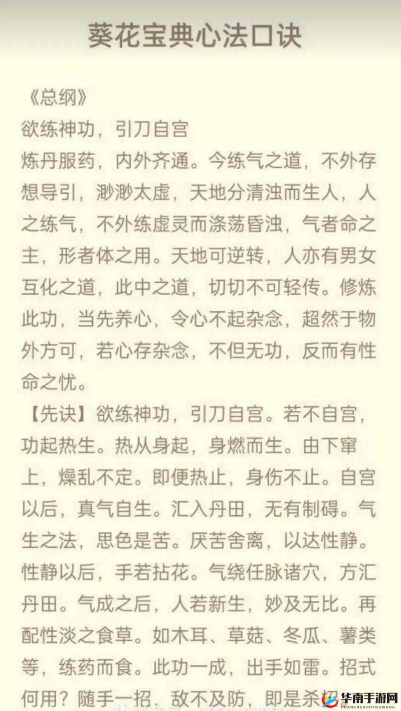江湖武学评析：探索各门各派武功秘籍的奥秘与精髓