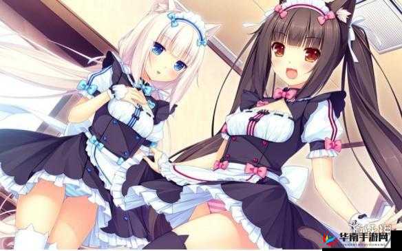 和猫娘拔萝卜游戏玩法有哪些：全面解析与技巧分享