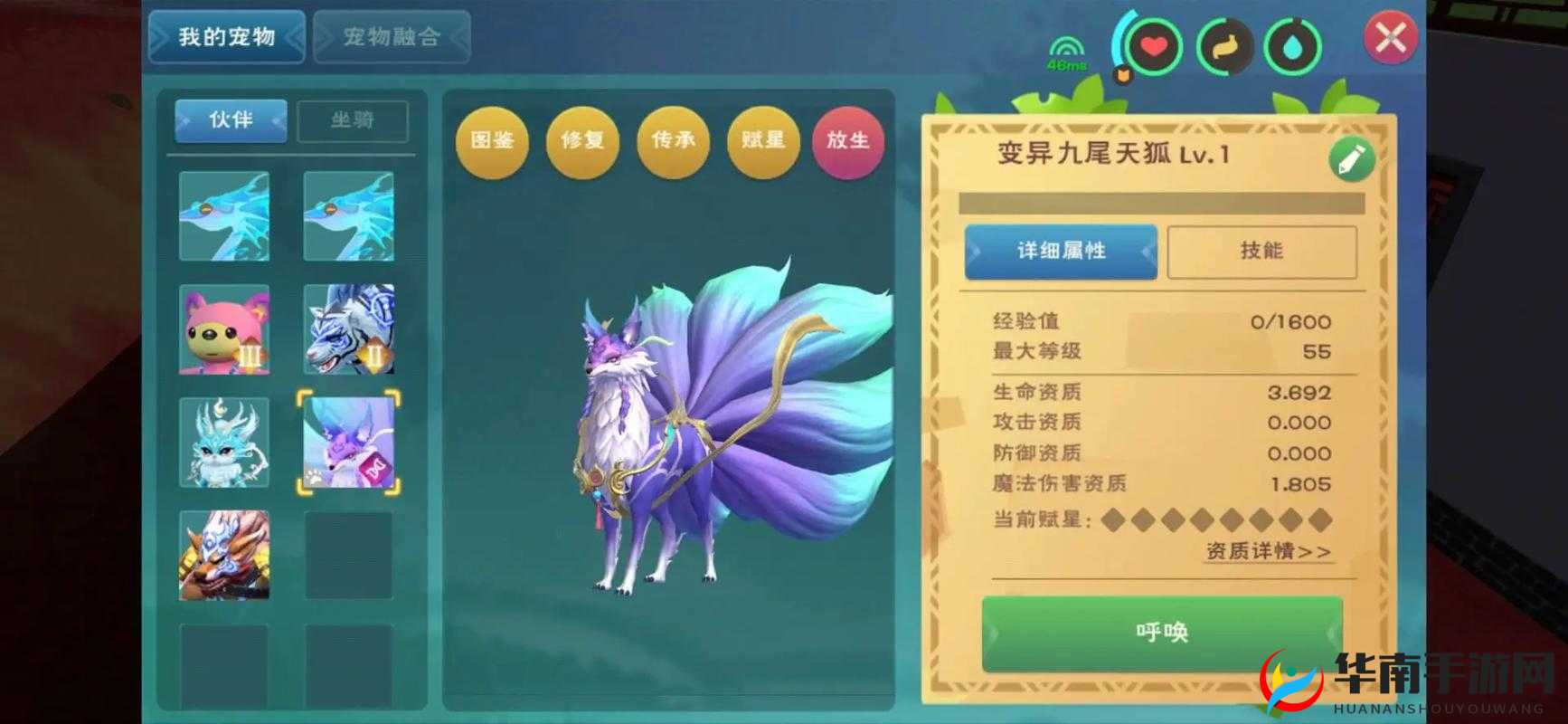 探索创造与魔法的奇幻世界,宠物捕捉与冒险之旅