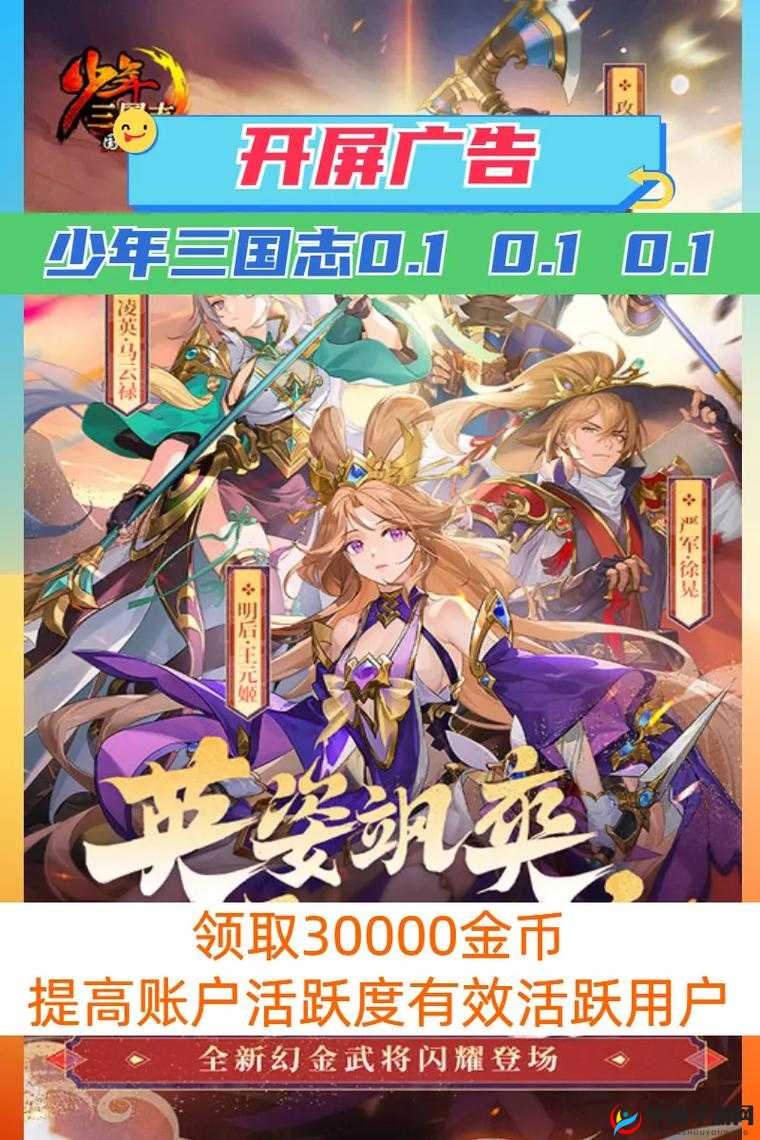 少年三国志，历史与梦想的交织篇章