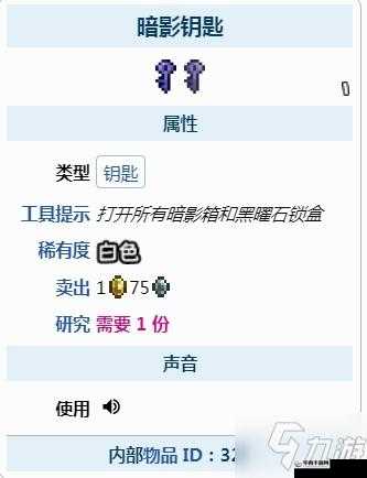 泰拉瑞亚钥匙探索之旅，解锁无尽宝藏的钥匙
