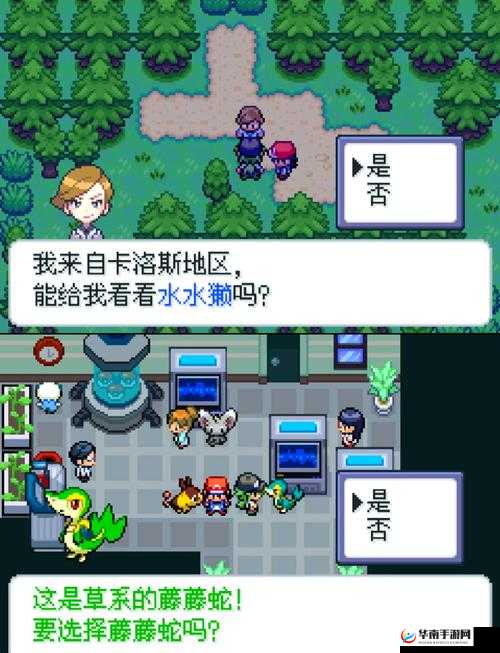 口袋妖怪,探索与冒险的奇妙之旅