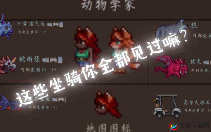 泰拉瑞亚坐骑的获取策略与价值最大化