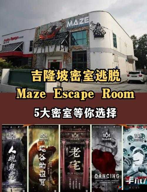密室逃脱，智慧与勇气的极限挑战