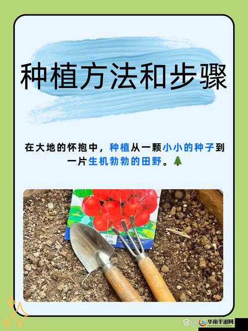 耕种妈妈肥沃的土地：如何科学种植提升农作物产量与品质的实用指南