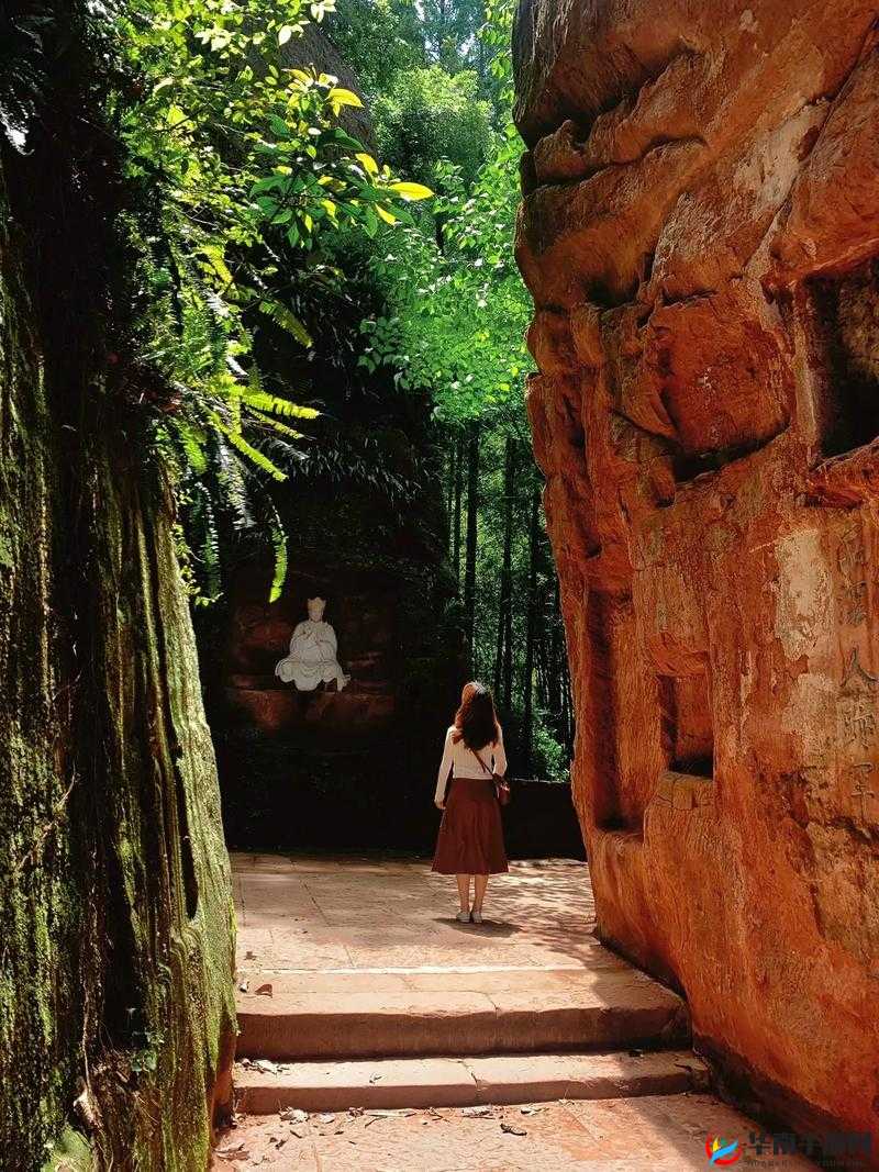 探秘江湖，古寺密林的幽深之旅