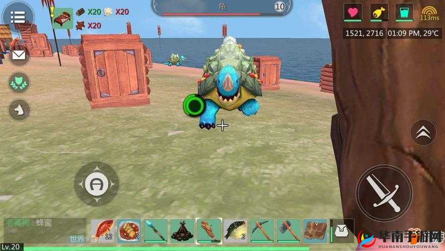 创造与魔法里乌龟吃什么