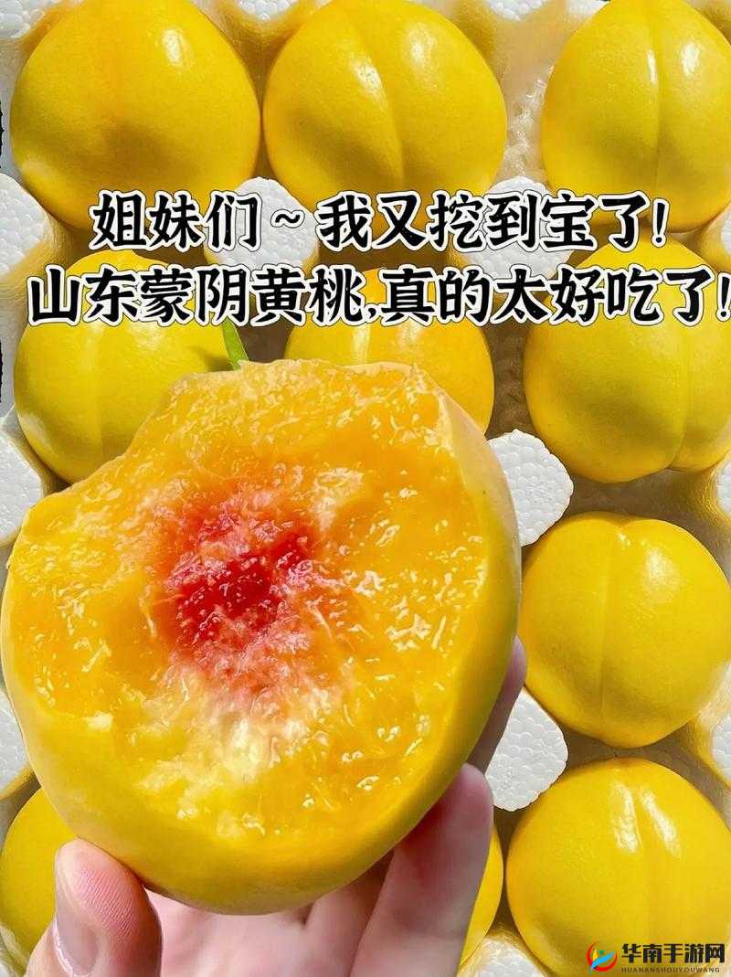 9612黄桃网站手机使用体验分享:如何通过这款手机告别日常烦恼?