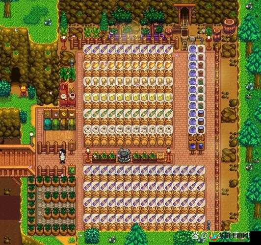 星露谷物语，解锁采石场的奇妙之旅