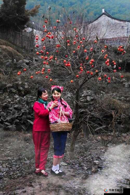 披风少年爱老妈假期回湖南家：亲情与乡愁的温暖交织故事