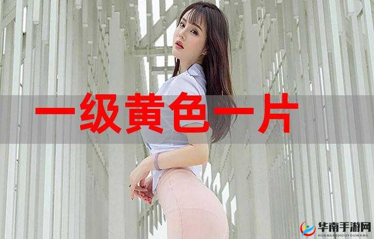 一级黄比比片最新资源下载及高清在线观看，全网最全合集免费分享