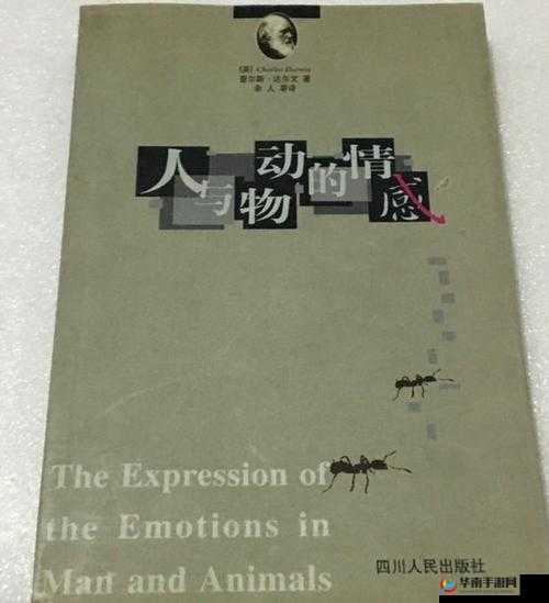 人与兽交互的奇妙体验：探索动物行为背后的秘密与情感联系