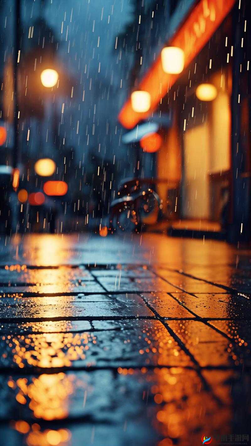 湿漉漉的像是刚下过雨：雨后街景的清新与宁静，感受自然的美好瞬间