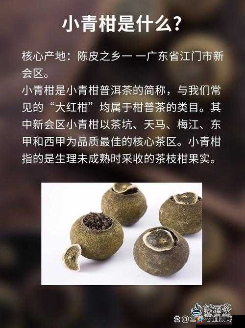 小青柑一线产区与二线产区的区别是什么？如何辨别正宗小青柑的产地来源？