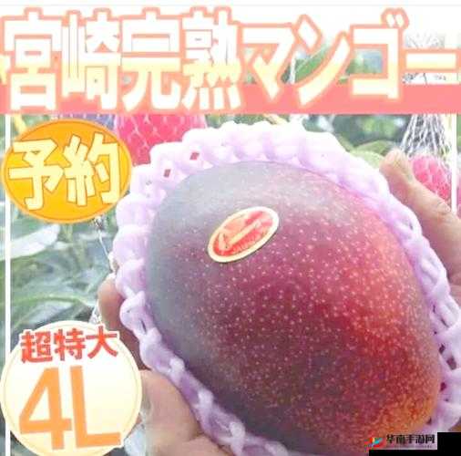 精美日产NV二线三线芒果:品质与口感双重享受,探寻独特风味之旅