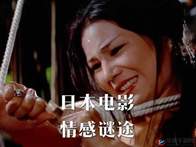 散场后11H高生成：揭秘电影结束后的神秘现象与观众情感变化