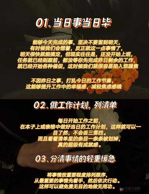 如何通过十8模软件19713提升工作效率？全面解析其功能与使用技巧