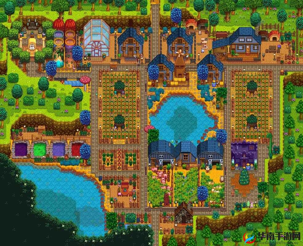 星露谷物语如何求婚，资源管理视角下的浪漫攻略