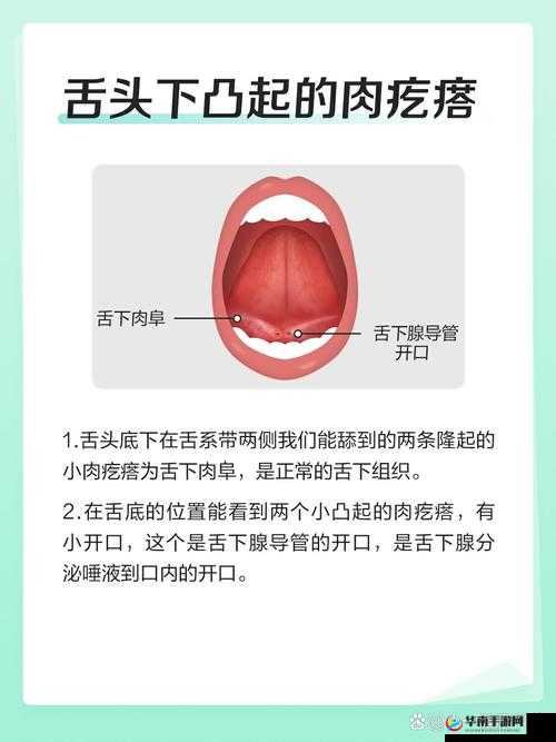 舌头往下舔到一个硬硬的包疼痛是什么原因？如何快速缓解疼痛并预防复发？