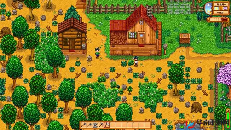 星露谷物语，编织乡村生活的温馨篇章