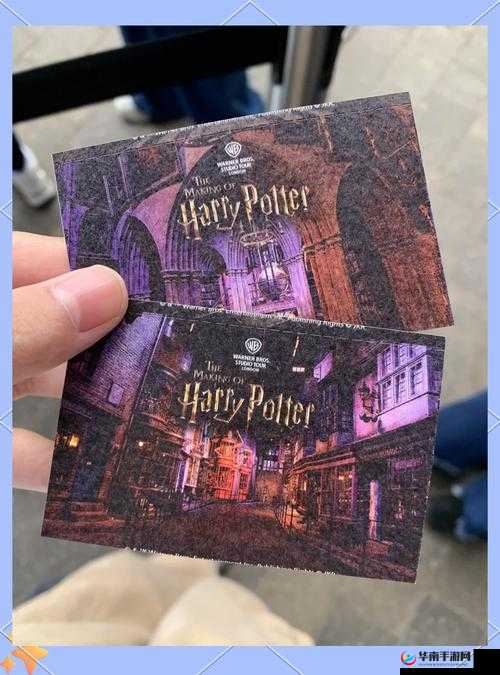 魔法世界的奇妙探索，哈利波特，魔法觉醒的深度沉浸之旅