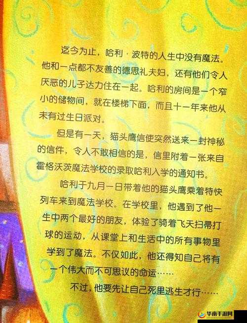 魔法世界的探索与成长，哈利波特的奇幻之旅