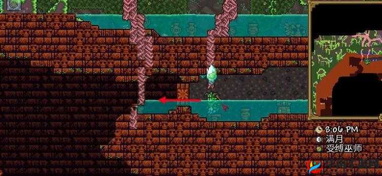 泰拉瑞亚神庙机关，探险者的智慧试炼