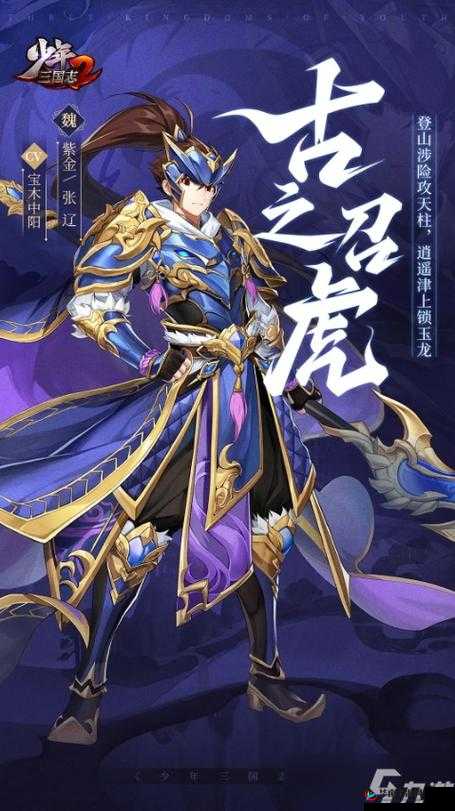 少年三国志2，紫金将的辉煌征程