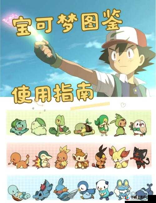 宝可梦大探险限定技能哪个好，资源管理视角下的深度解析