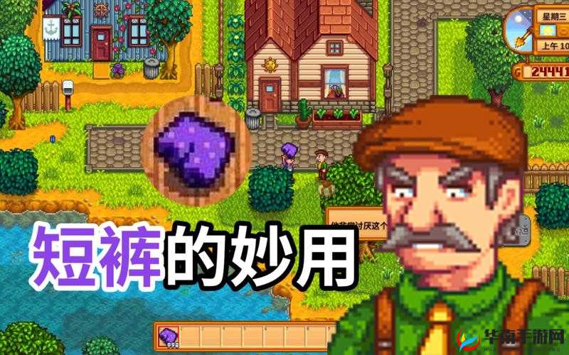 星露谷物语村长的短裤怎么拿，一场资源管理与策略探索之旅