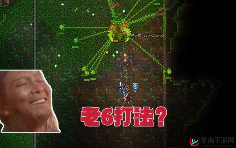 泰拉瑞亚世纪之花如何打,策略、技巧与价值最大化