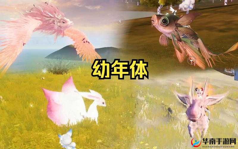 妄想山海,探索奇幻世界的宠物奇缘