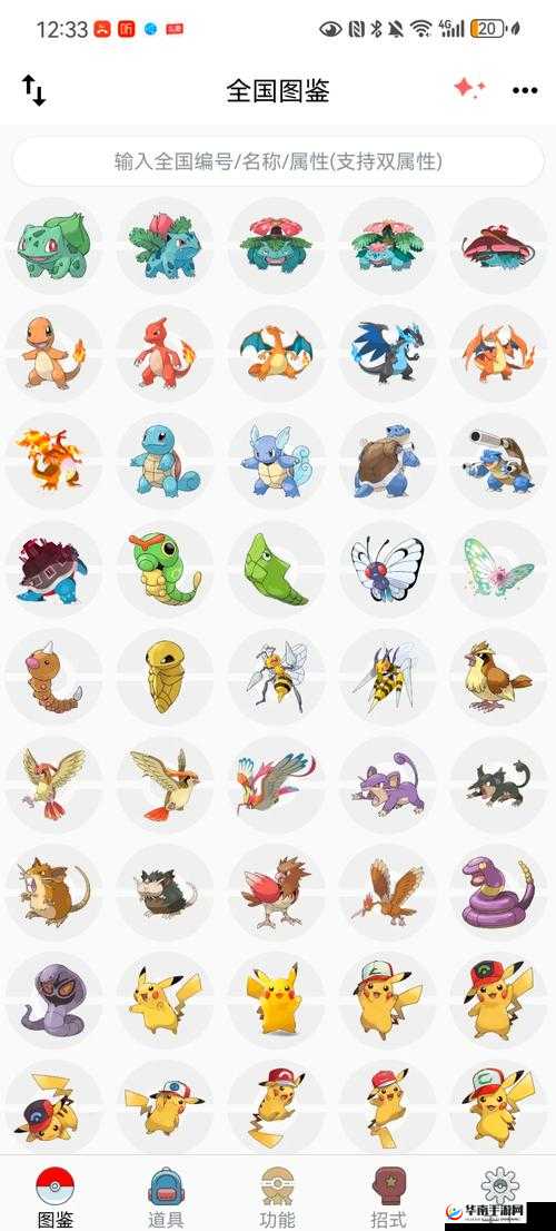 宝可梦大探险，解锁巨人遗迹精灵的培养奥秘